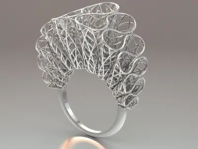 fiozhen ring Free 3D print model