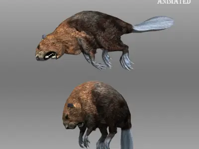 Beaver Animated Low-poly 3D model