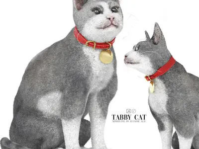 tabby cat  3D model