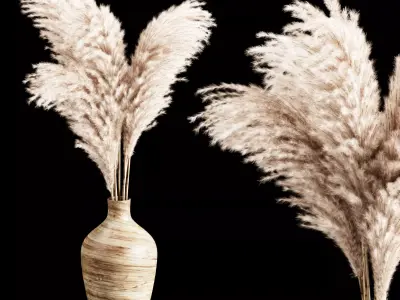 Pampas 1 vase with two dried grasses in it 3D model