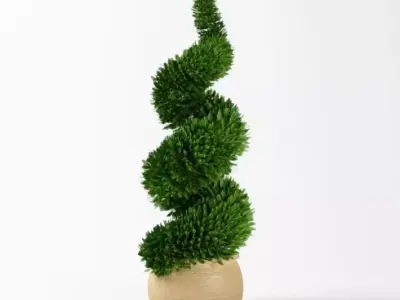 Green Pot Plant 3D model