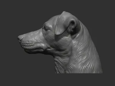 Jack Russell Terrier bust 3D print model