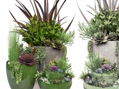Plants 3 planter with succulents in it 3D model