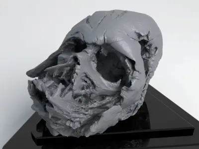 Melted Darth Vader Helmet - Star Wars Skull 3D Print model  3D print model