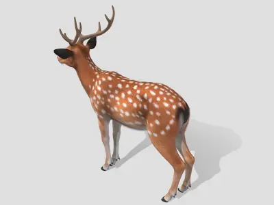 Deer - Stag Low-poly 3D model