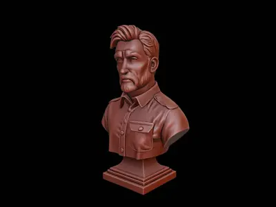 Software Engineer Bust 3D print model