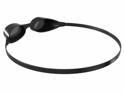 Swimming Goggles 3D model