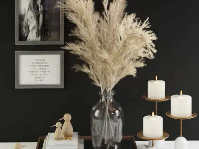 pampas decorative set 3D model