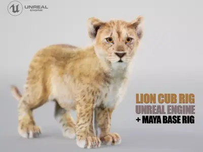Lion Cub Rig UNREAL project  Maya base rig 3D model
