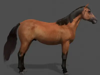 Ultimate Horse Collection - 3d model 3D model