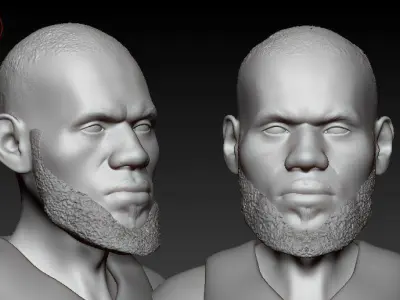 Lebron James 3D print model