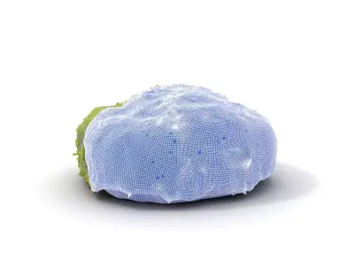 Green Moss Cushion model pack Low-poly 3D model