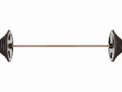 Gym System Barbell and Weight Plates 3D model