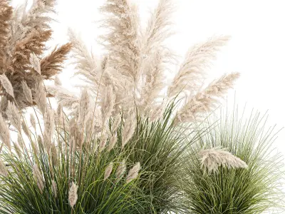 Ornamental plants in white rattan baskets 1080 3D model