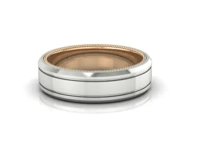 Ring 69 3D print model