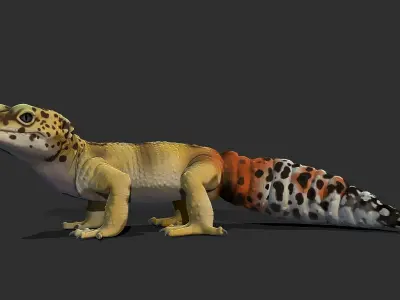 Leopard Gecko 3D model