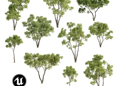 Tree Set 01 - UE5 and Others Low-poly 3D model