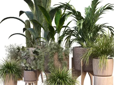 plant in vase collection set 212 3D model