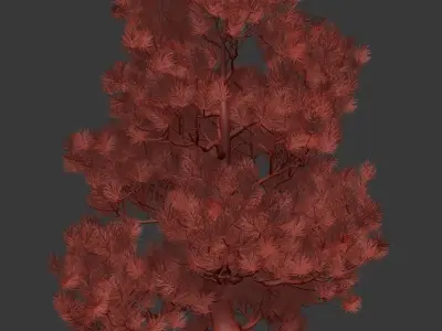 Decorative pine v2 3D model
