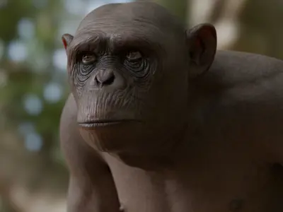Rigged Hairless Chimpanzee Low-poly 3D model Low-poly 3D model