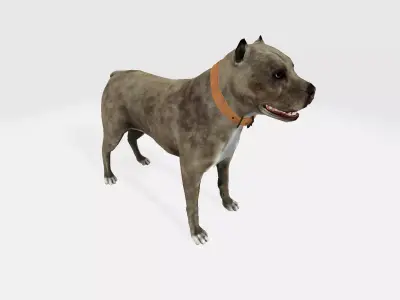 Guard Dog 3D model
