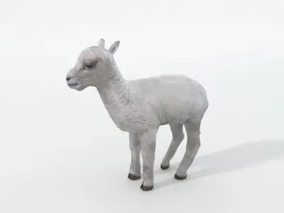 Little Sheep Low-poly 3D model