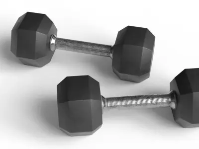 Dumbbells 3D model purchase