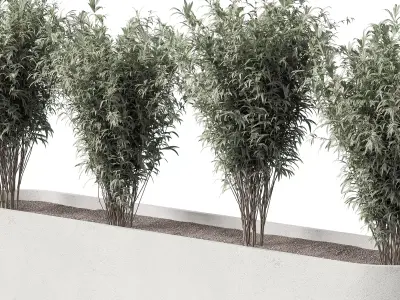 Plants Box Collection 3D model