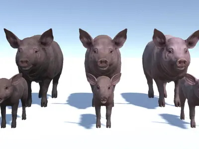 PIG FAMILY Low-poly 3D model
