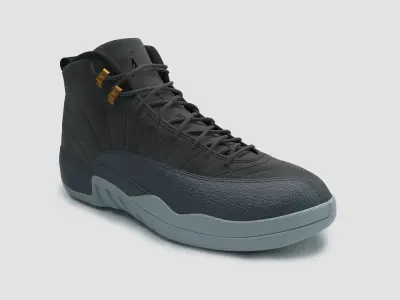 Air Jordan 12 Retro NIKE 3D model