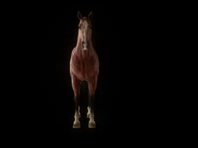 Three Horses Low-poly 3D model