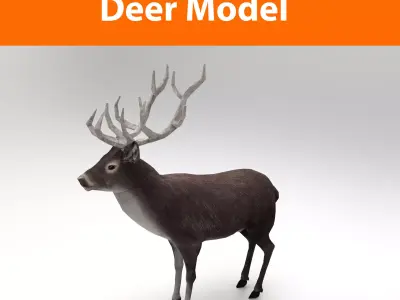 3D Black Deer low poly  Low-poly 3D model