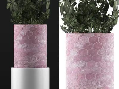 Plants Collection 110 3D model