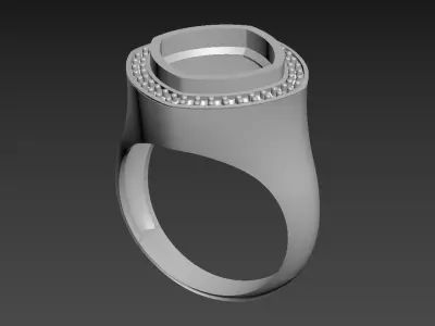 Ring R 14 3D print model