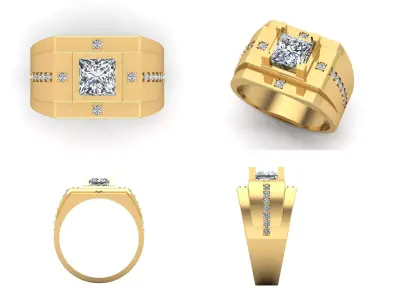 Ring bi151 3D print model