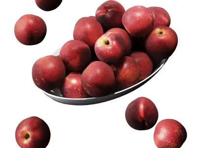 Nectarine v3 Low-poly 3D model