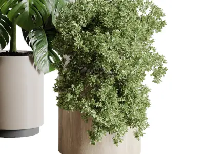 indoor plant plant bush monstera wooden dirt vase 3D model