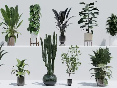 collection Indoor plant and outdoor plant pot 3D model