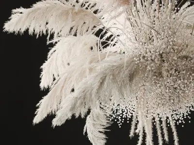hanging decor of their dried pampas grass 237 3D model