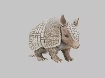 Low Poly Armadillo Low-poly 3D model