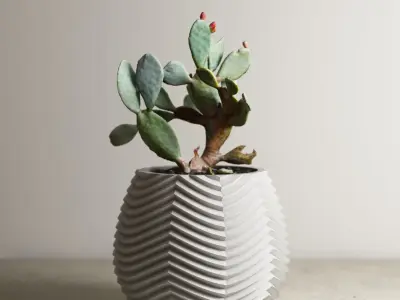 pot collection a012 5 pots