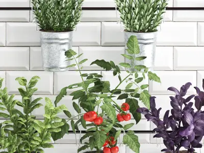 Decorative plants for the kitchen on railing 380 4 3D model