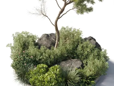 outdoor indoor 81 pot plant  tree  bush fern the garden 3D model