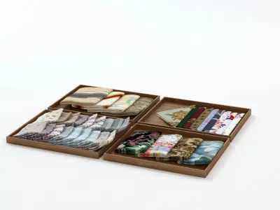 Laid Cloth Showcase 3D model