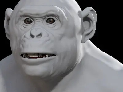 Bonobo High detailed Realistic 3D Model 3D model