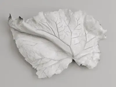 Lauren Collin ceramic wall art  3D model