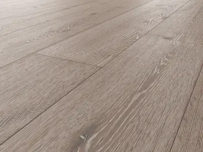 Wood floor Oak Nordic NEW Firestop 3D model
