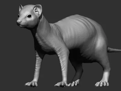 VFX Ready ferret 3d model  3D model