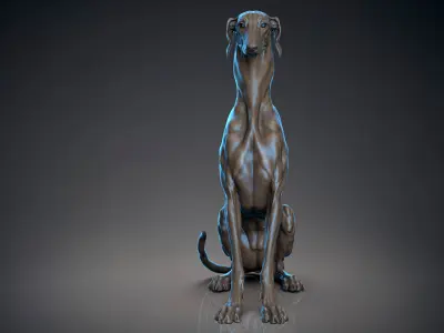 Dog Azawakh Symmetry   -  3D Sculpting 3D model