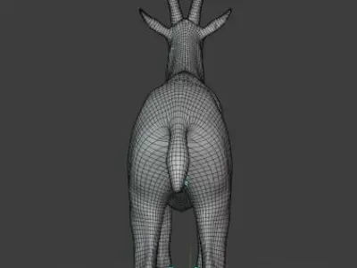 Markhor base mesh  Low-poly 3D model